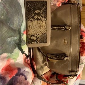 Coach Bag with matching Wallet